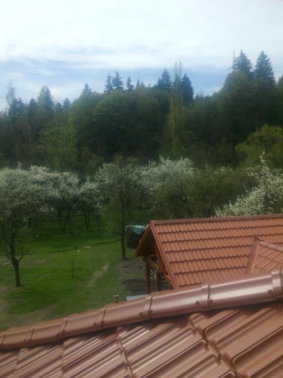 Casa Bunicii Hotel Majszin Kültér fotó