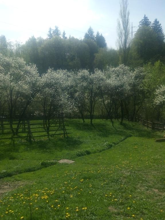 Casa Bunicii Hotel Majszin Kültér fotó