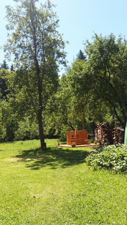 Casa Bunicii Hotel Majszin Kültér fotó