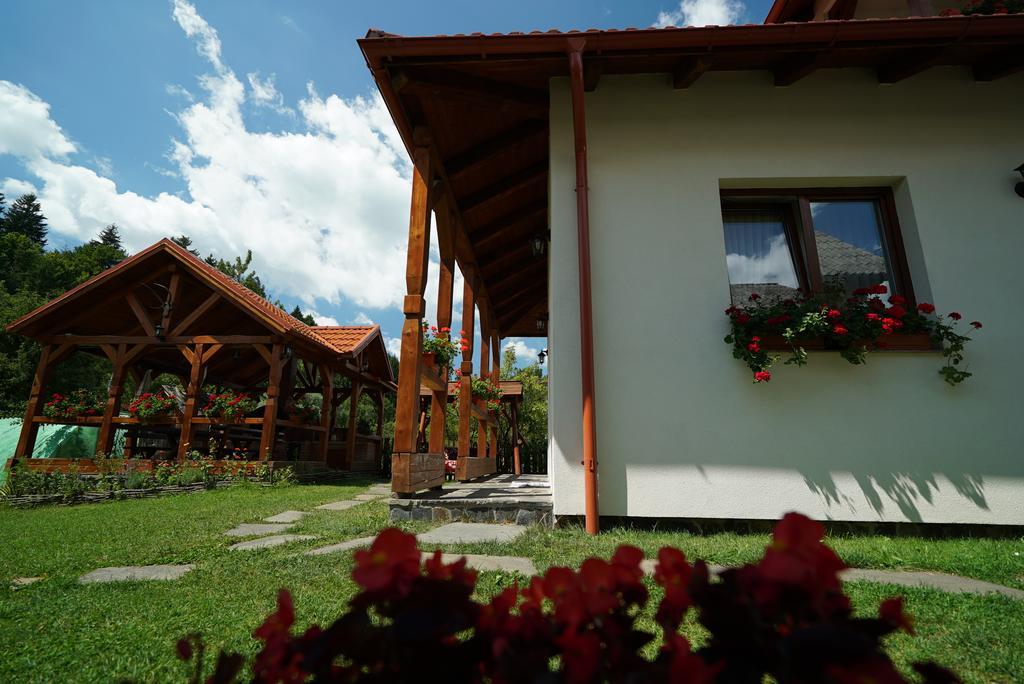 Casa Bunicii Hotel Majszin Kültér fotó