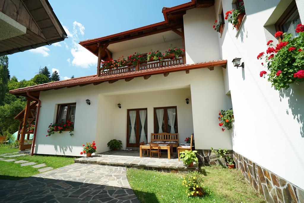 Casa Bunicii Hotel Majszin Kültér fotó