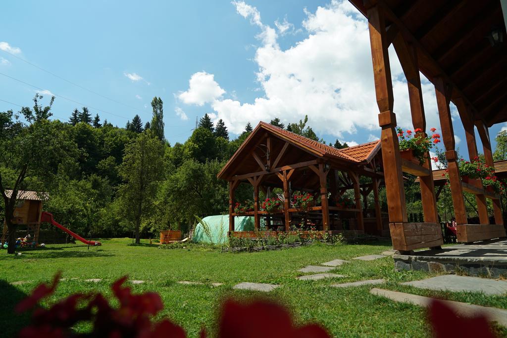 Casa Bunicii Hotel Majszin Kültér fotó