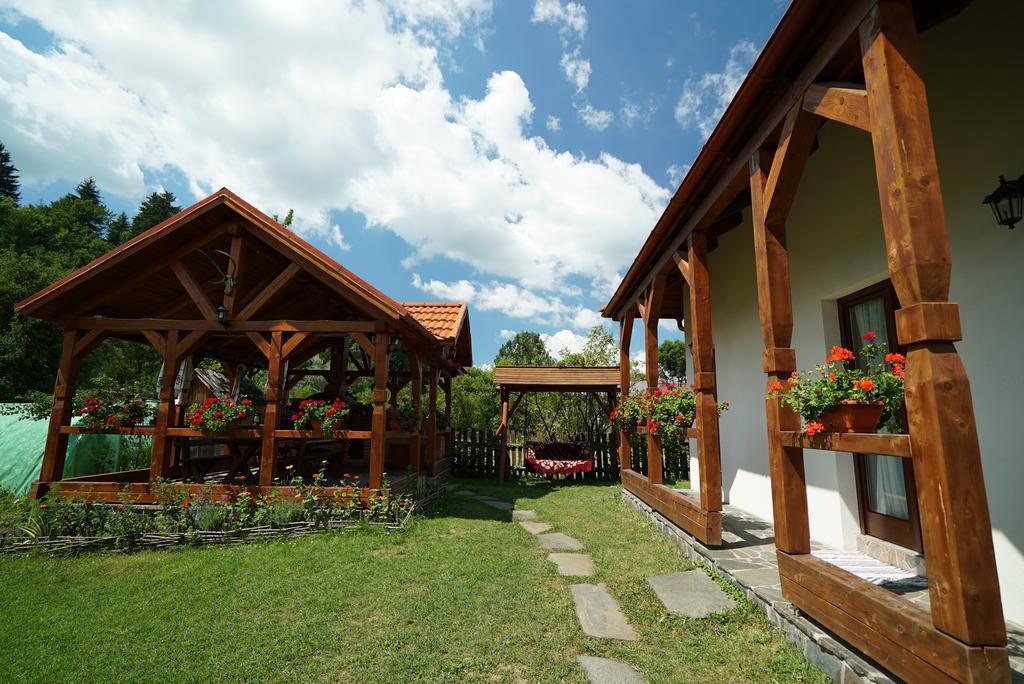 Casa Bunicii Hotel Majszin Kültér fotó