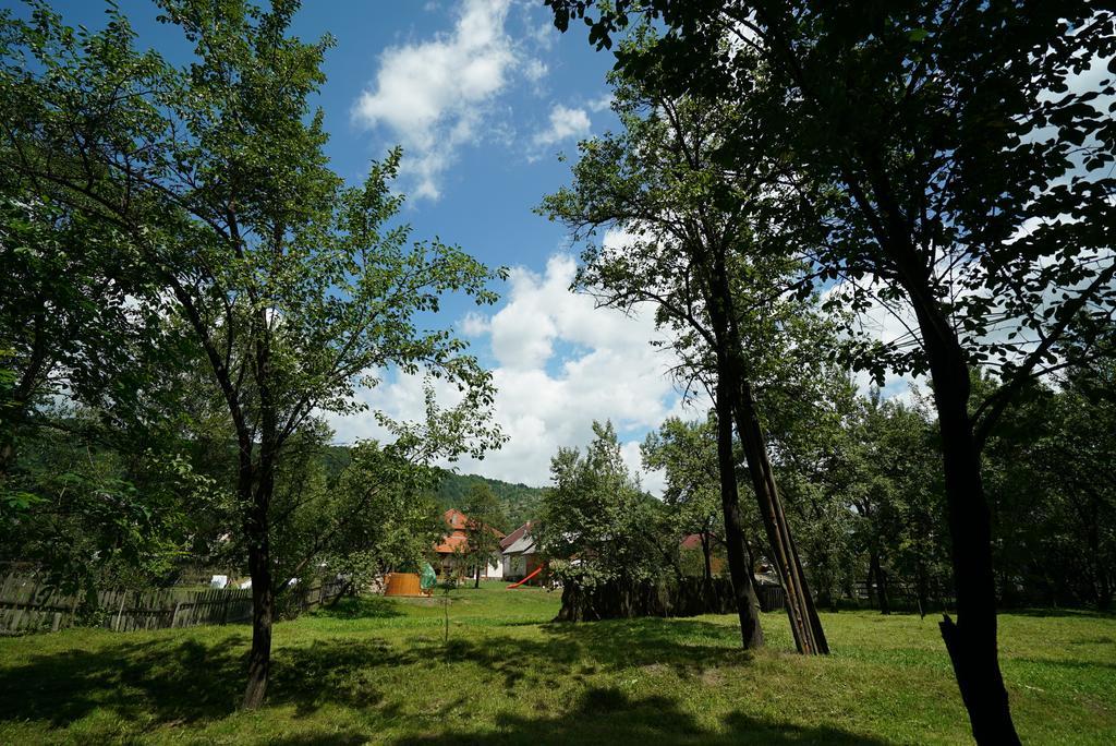 Casa Bunicii Hotel Majszin Kültér fotó